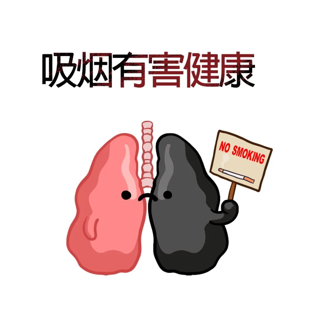 fe4c6050ccbf612503c78c45b9dbbcad.jpg